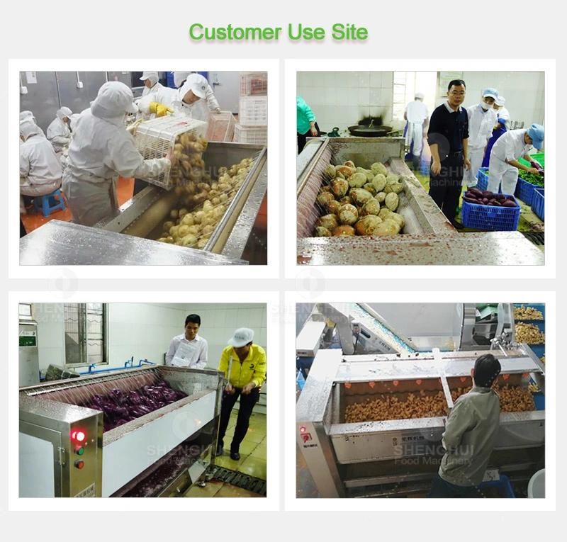 Automatic Brush Ginger Peeling Machine