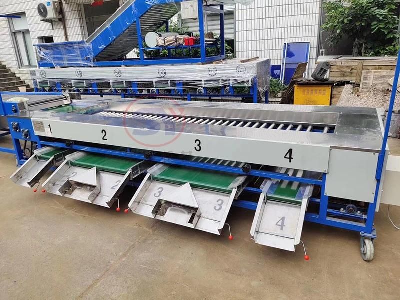 Tomato Potato Carrot Color Pepper Automatic Loading Selecting Sorting Machine