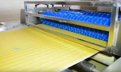 Skywin Oil Free Popato Chips Making Machine Snack Production Line