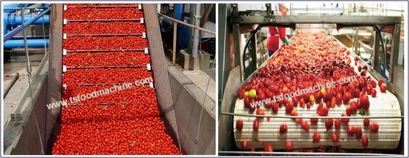 Fruit Vegetable Drying Machine Dryer and Tomato Drying Machine