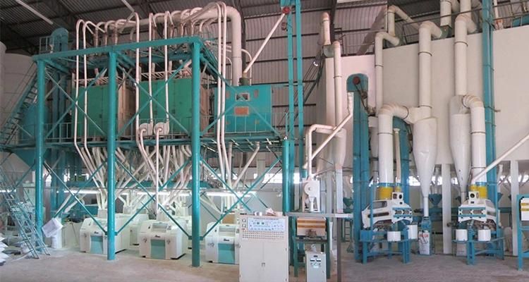 PLC Control Automatic 300t/24h Wheat Flour Milling Machine