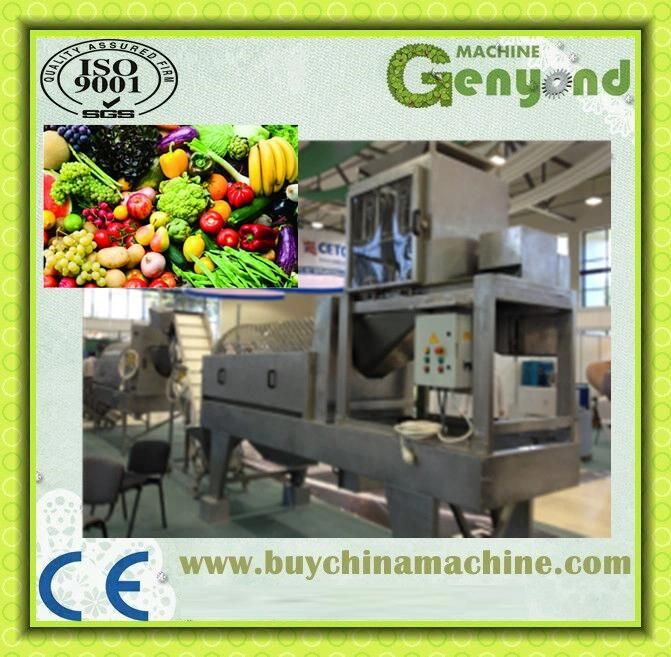 Clean Vegetables Fruit Processing Line in China