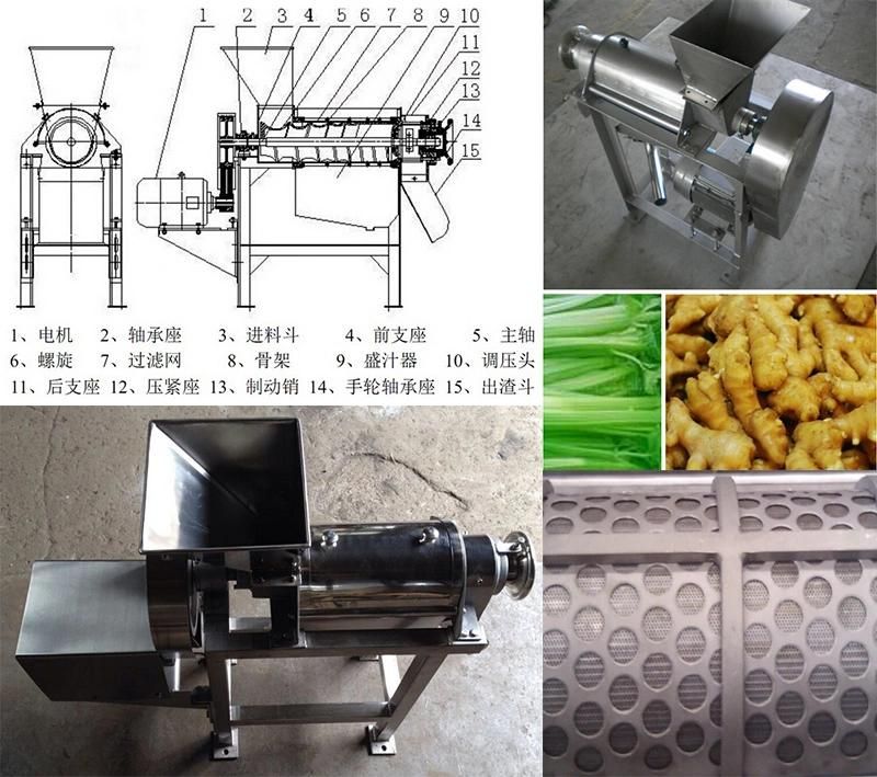 Industrial Juice Extractor Machine Pineapple Apple Mango Juice Machine