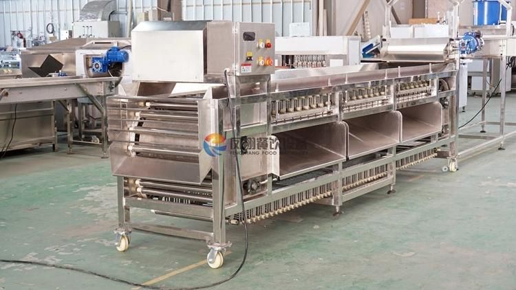 Commercial Roller Type Blueberry Apple Citrus Fruit Sorting Machine