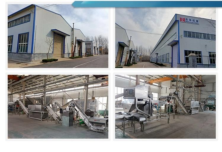 High Quality Automatic Garlic Peeling Production Line