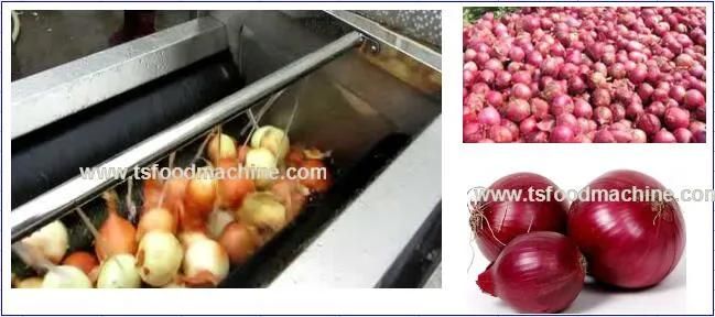 Root Vegetable Potato and Onion Brush Peeling Machine