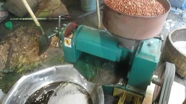 Small Oil Mill Oil Workshop for Press Peanut Rapeseed Seed Oil Press 50kgs Per Hour