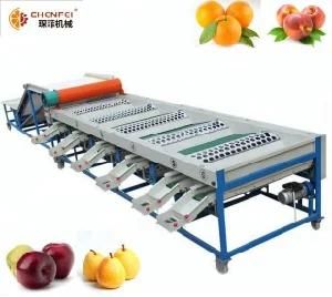 SS304 Sorting Conveyor Fruit and Vegetable Sorting Equipment From China in High Quality