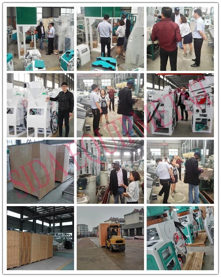 China Factory Direct Sale 50tons Fully Automatic Paddy Processing Machine