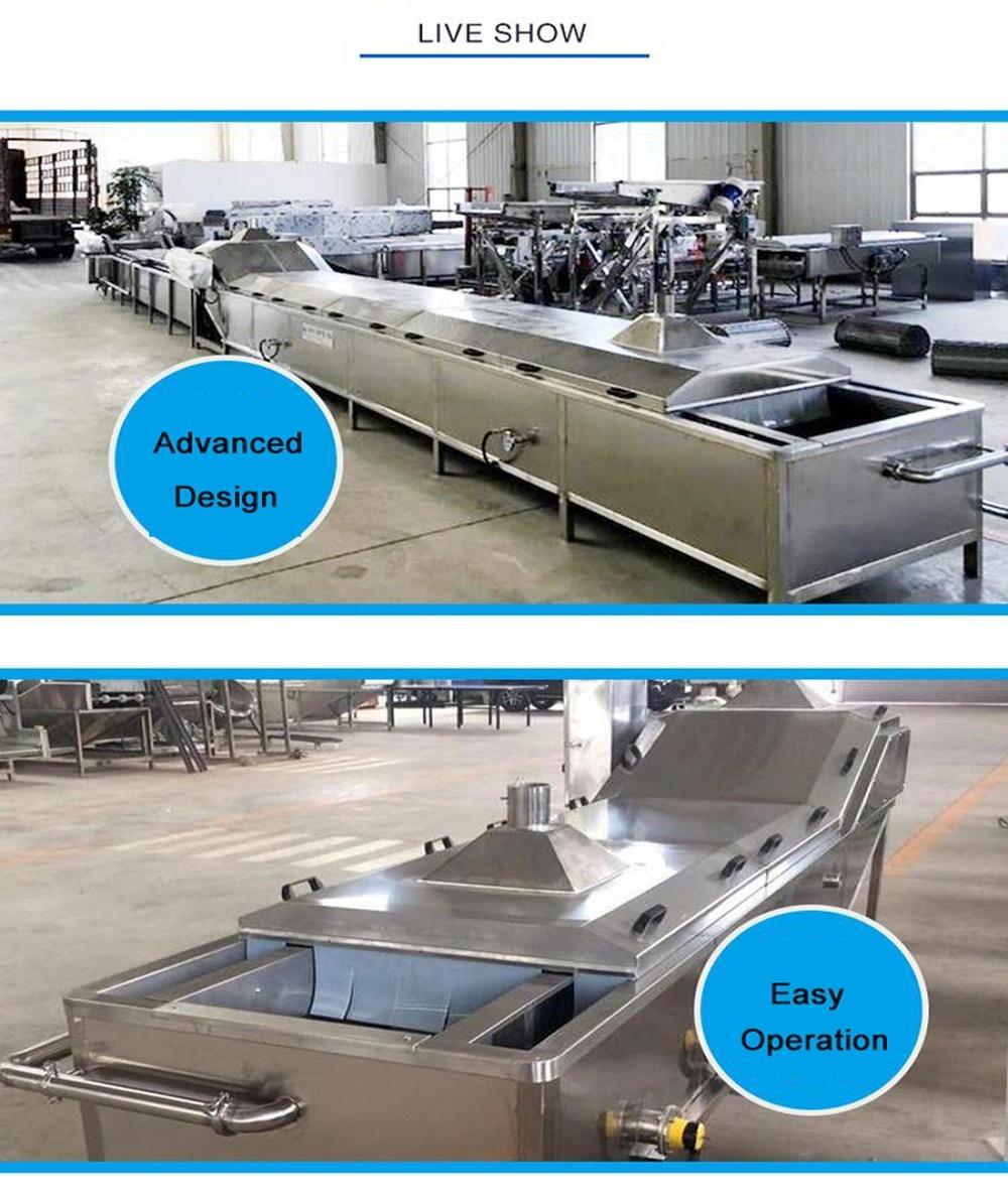 Automatic Ablone Blanching Machine/ Snow Bean Blanching Machine/ Meatball Blanching Machine