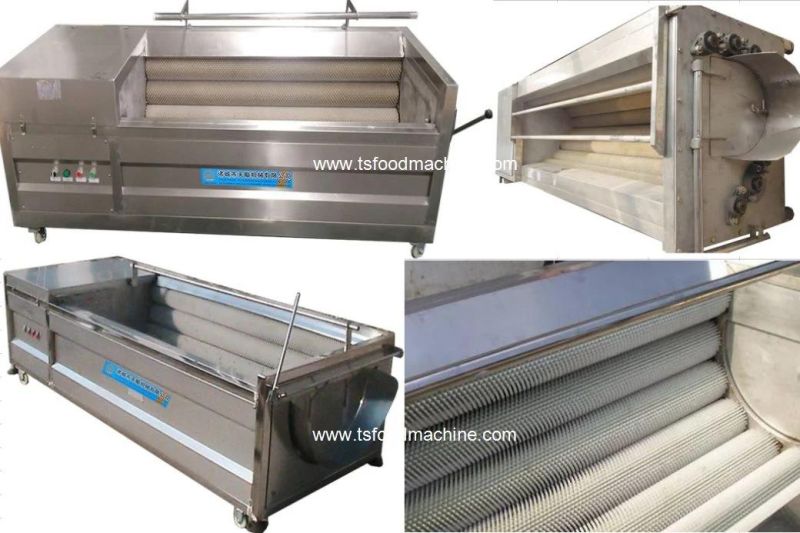 Root Vegetable Brush Washer Machines Onion Peeling Machine