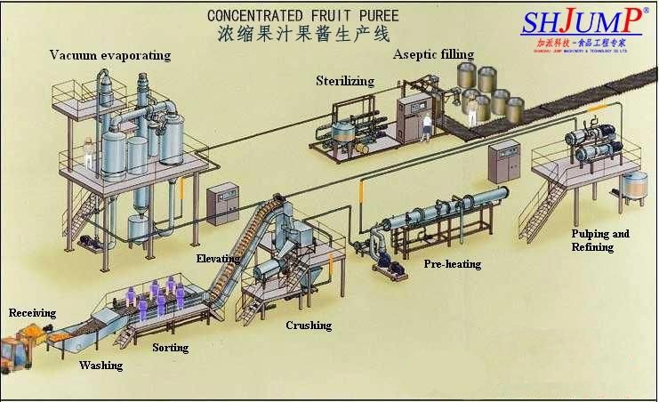 Tropical Fruits Processing Line/Fruit Juice Production Line