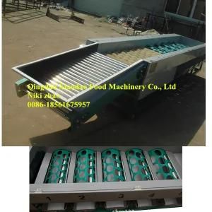 Apple and Orange Washing, Waxing and Sorting Machine