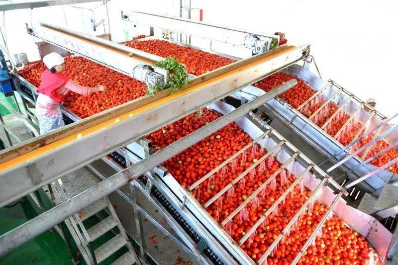 500L to 3000L Fruit Juce Production Line Blending Juice Making Equipment