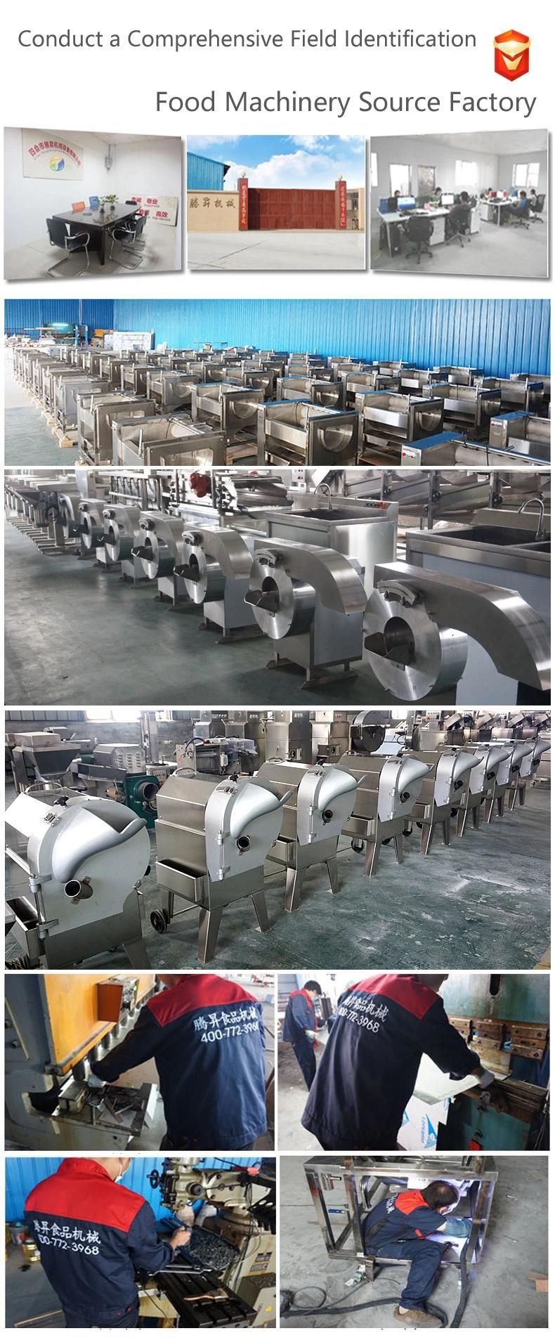 Electric Meat Processing Equipment Commercial Small Meat Cutting Machine (QX-30)