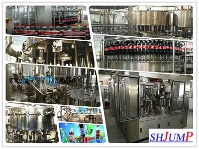 Large Factory Papaya Juice Processing Line