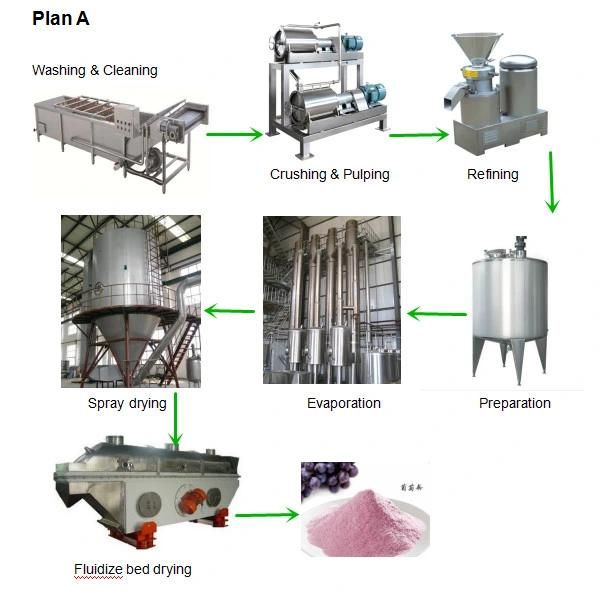 Complete Kiwi Fruit Powder Production Plant