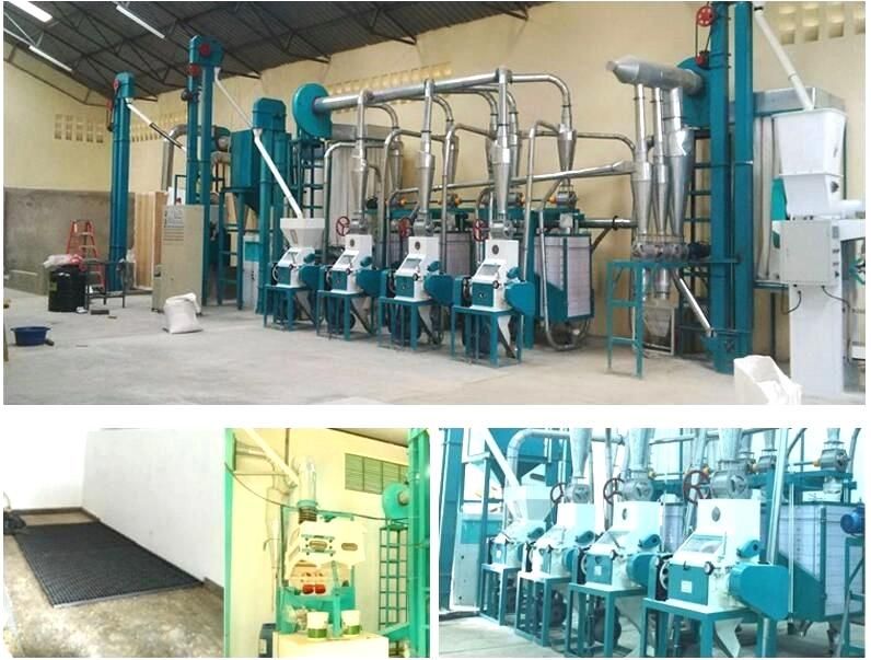 Running 20t/D Maize Flour Milling Machine in Tanzania