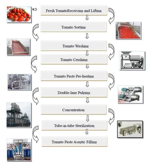 Automatic Tomato/Pineapple/Mango/Carrot/Apple/Blueberry/Jam/Paste/Sauce/Ketchup Processing Production Concentrated Line Sauce Processing Line