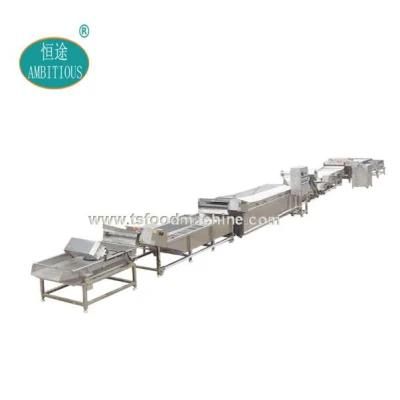 Potato Chips Equipment Potato Frying Machine