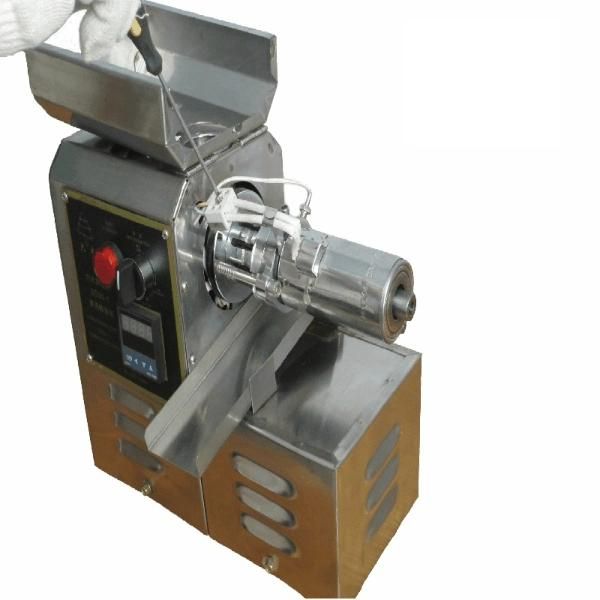 Africa Popular Moringa Seed Oil Extraction Machine