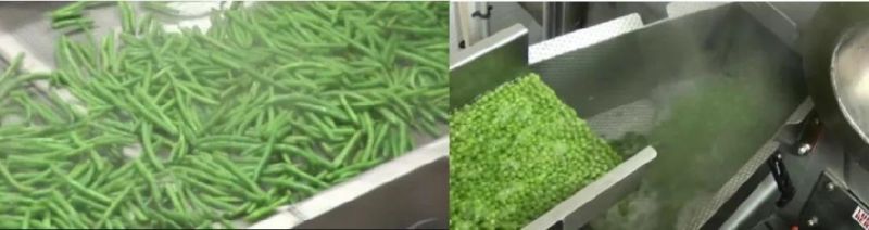 Green Bean Cooking Machine Frozen Vegetables Food Processing Line