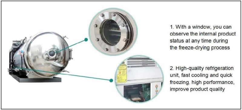 Vacuum Freeze Dryer for Pet Food Freeze Dryer Machine