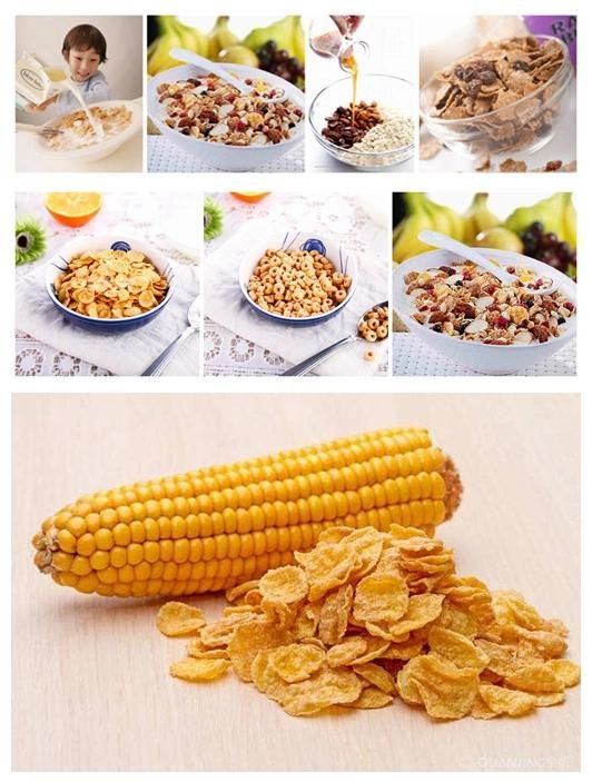 Hot Sale Stainless Steel Breakfast Cereals Corn Pops Snacks Making Machines