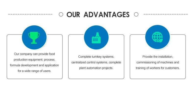 Complete Highly Authentic Breakfast Cereals Processing Equipment