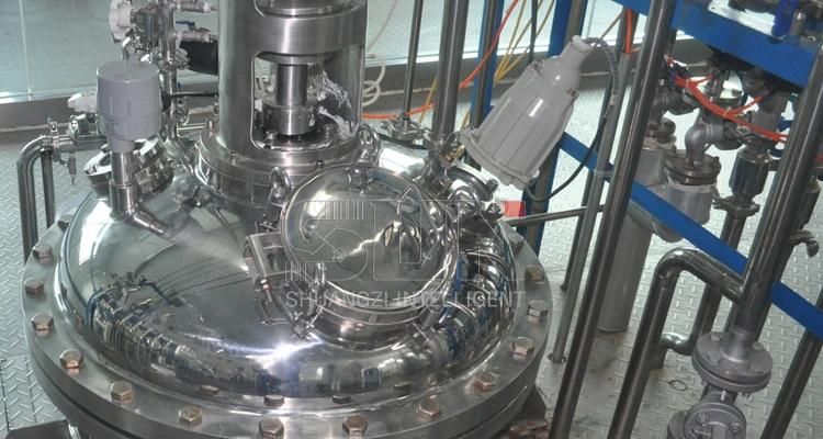 New Design SIP Biological Machenical Stirring Fermentation Tank