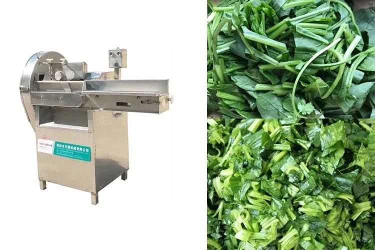 Cutting machine Veget Cutt and Chopp Vegetable Spinach Cutting Machine