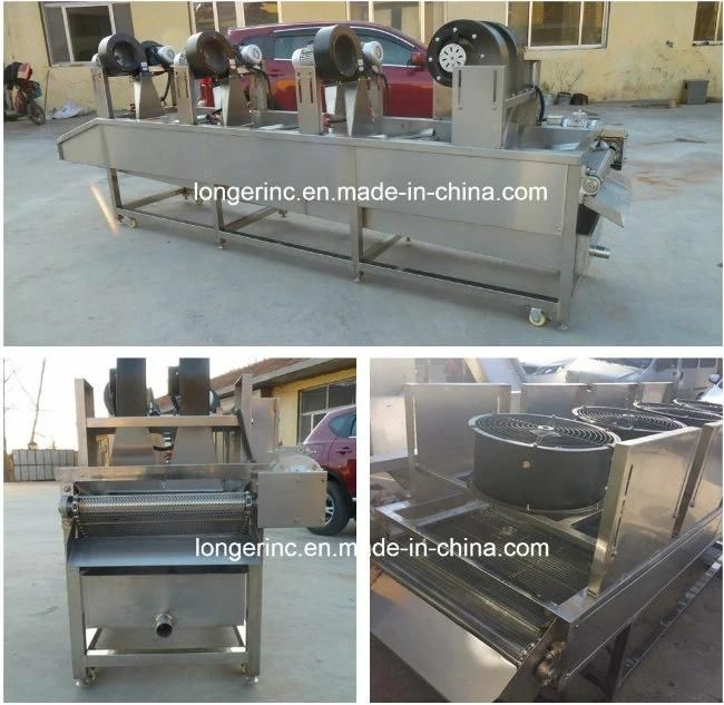 Industrial Hot Air Tomato Drying Machine Mushroom Dryer