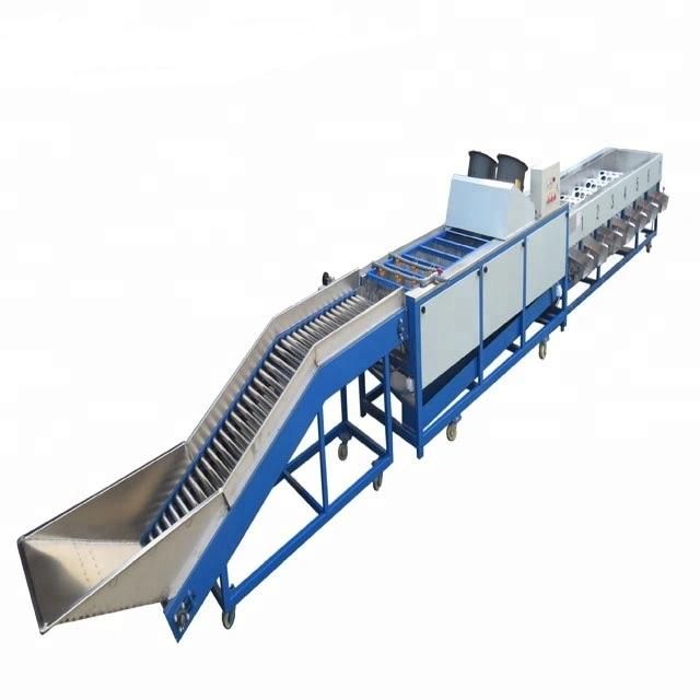 Automatic Fresh Vegetable and Fruit Grading Equipment