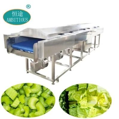 Vibration Dewatering Machine for Vegetable and Fruit Cabbage Dryer