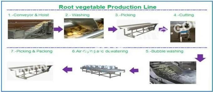 Hoister and Hoist Machine for Potato Chips Production Line