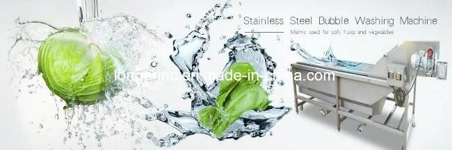 Stainless Steel Automatic Herb Lettuce Washing Machine