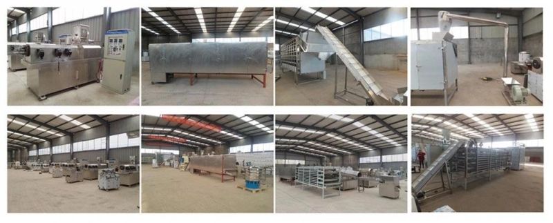 Extrution Food Floating Fish Feed Production Line