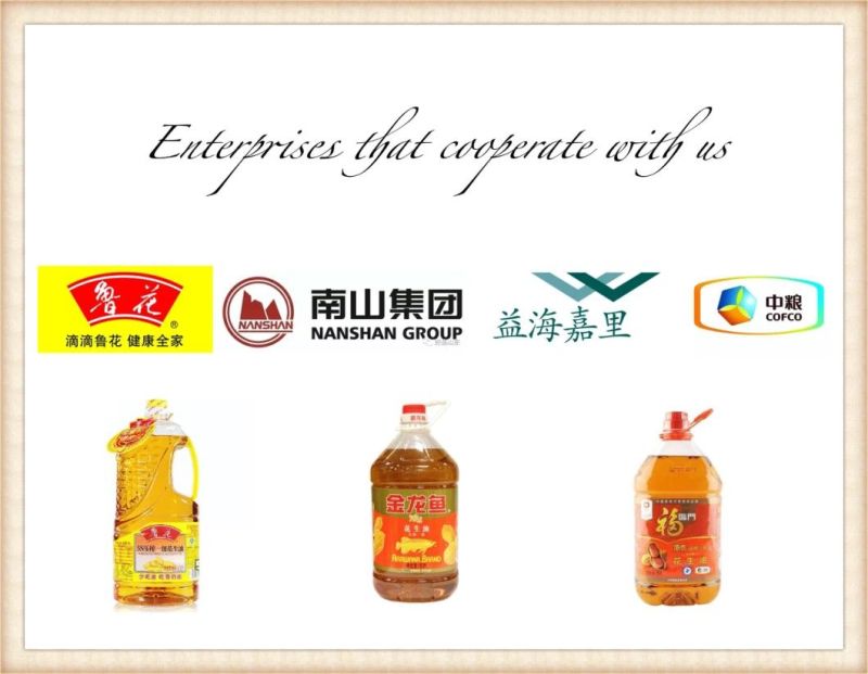 Edible Oil Refining /Refinery/Press/Processing/Making/Extraction Machine