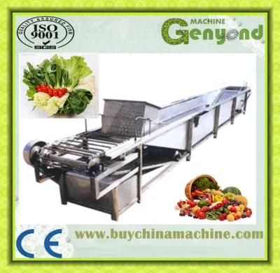 Fruit and Vegetable Washing Machine