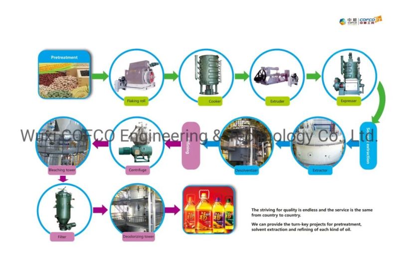 COFCOET ZX/ZY Series Oil Press