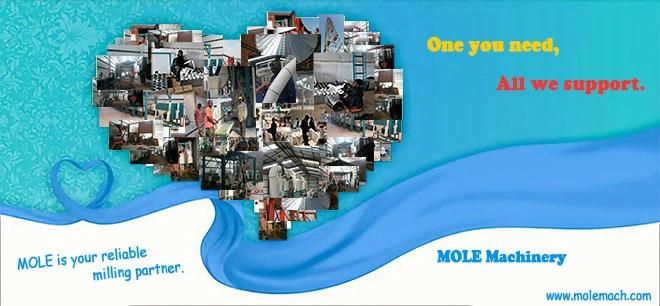 Wheat Maize Corn Grain Flour Semolina Milling Grinding Machine Price