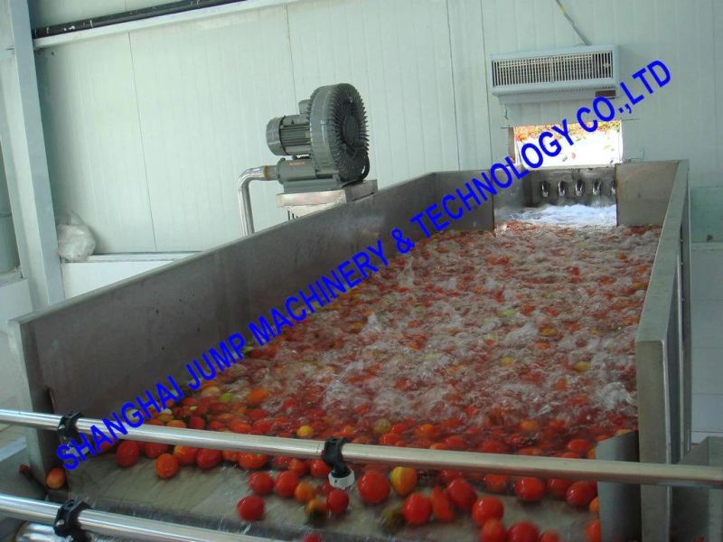 500ton Daily Capacity Tomato Processing Machine