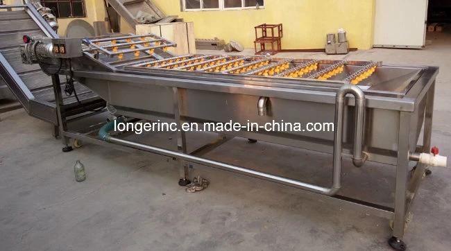 Indusrial Stainless Steel Vegetables Washer Machine