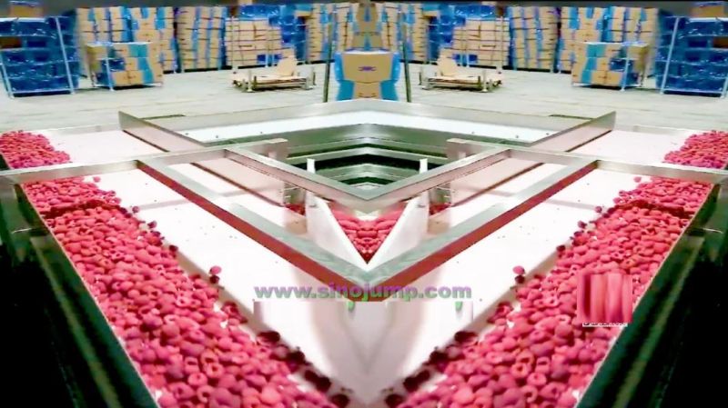 a Raspberry Puree/Paste Processing Turnkey Solution