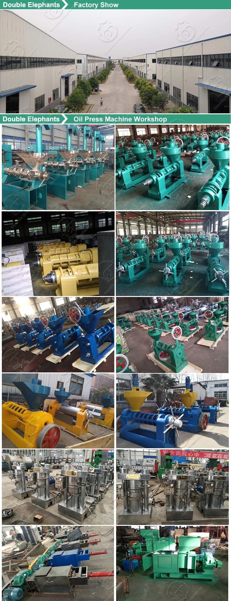 Sunflower Peanut Soybean Coconut Oilve Moringa Seed Mustard Rapeseed Avocado Vegetable Edible Cold Screw Oil Making Extraction Mill Expeller Press Machine