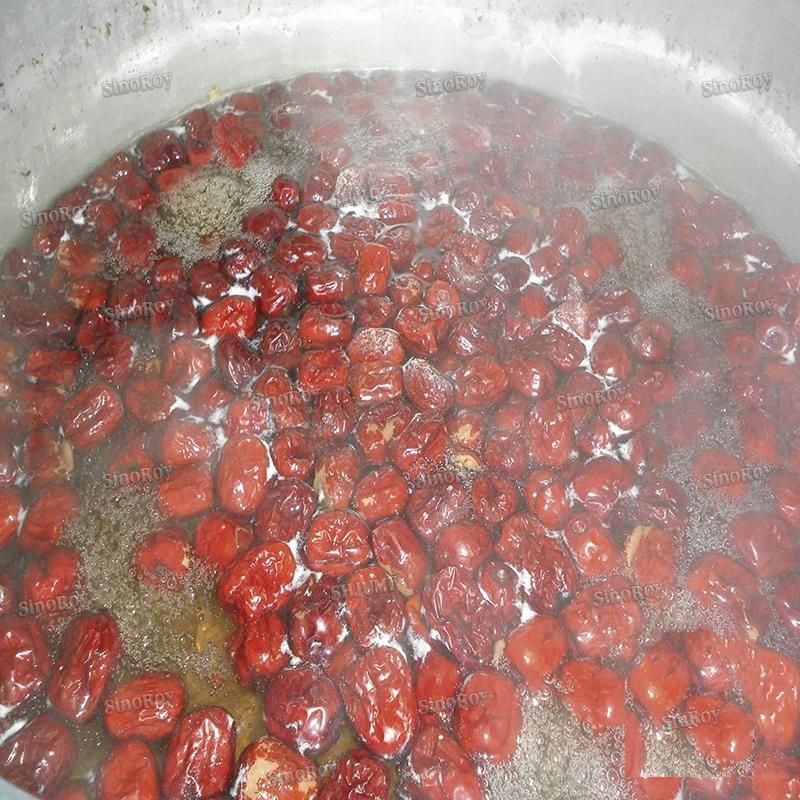 Red Dates Juice Red Dates Paste Processing Line