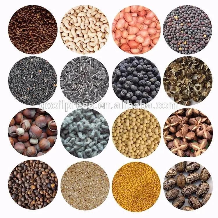 High Oil Yield Sunflower Seeds Cold Oil Press