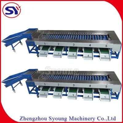 Commercial Mango Lemon Blueberry Sorting Grading Machine for Sale