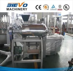 Mango Fruit Single Channel Pulping Machine