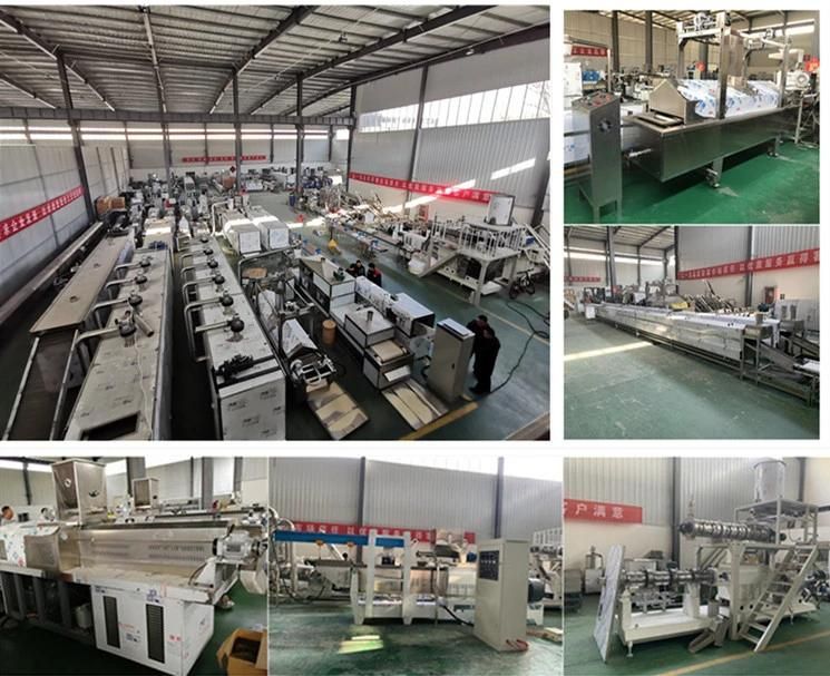 Automatic Nutrition Instant Rice Extrusion Processing Machine
